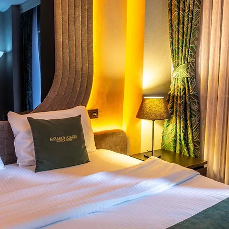 Karakoy Aparts - Special Category 4*